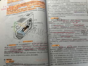 华东师范大学心理学自考本科