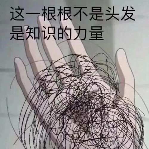 考研仅排第五