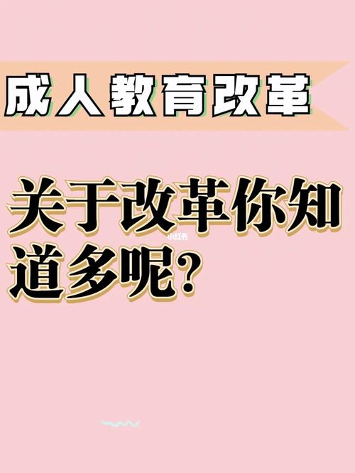 成人教育政策改革我如何从“职场小白”变身“学习达人”