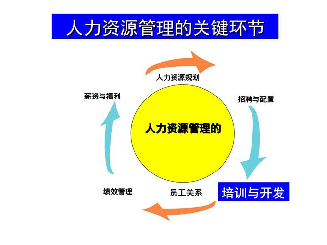 企业人力资源管理师