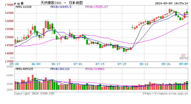 泰国2024年7月天然橡胶出口量同比增15.35%