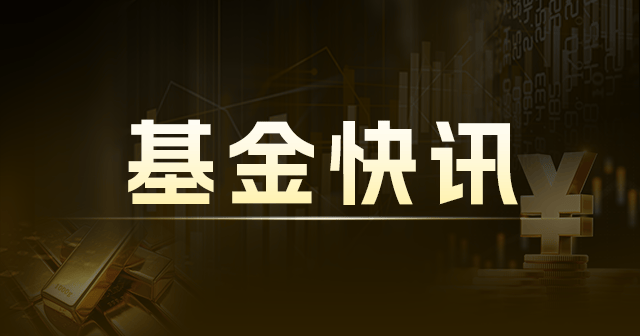 大成价值增长混合A：净值0.6251元，今年收益率-24.70%，持仓百洋医药等